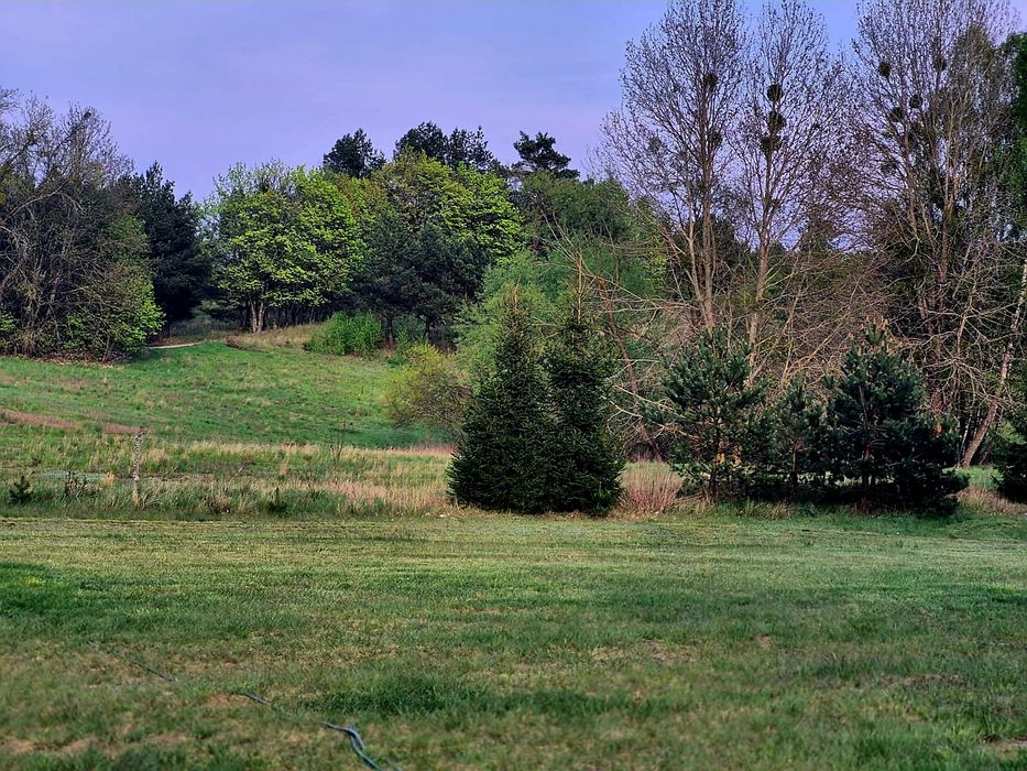 Dom działki  w Kosewie