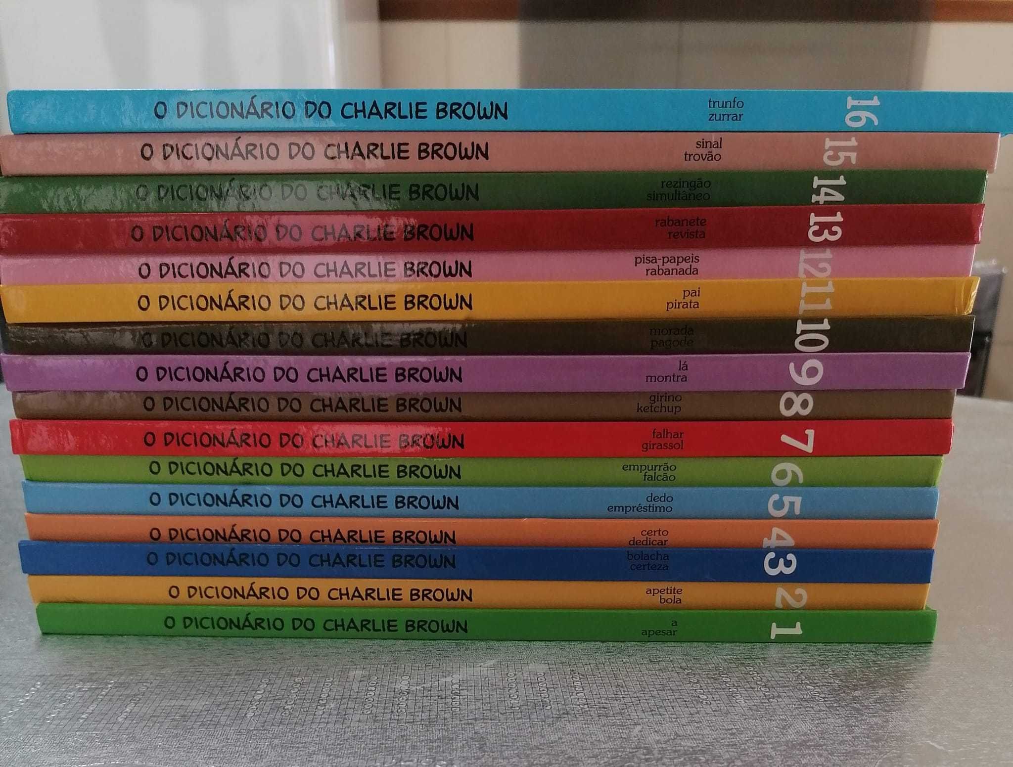 Coleção "O Dicionário do Charlie Brown" - Livro Infantil