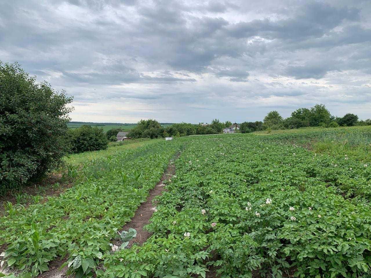 Продаж будинку в с. Водички, 20 км від Хмельницького