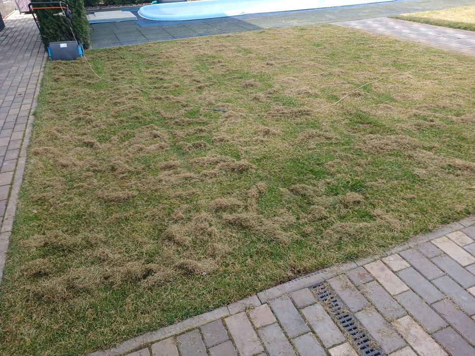 Садовник  покос газона