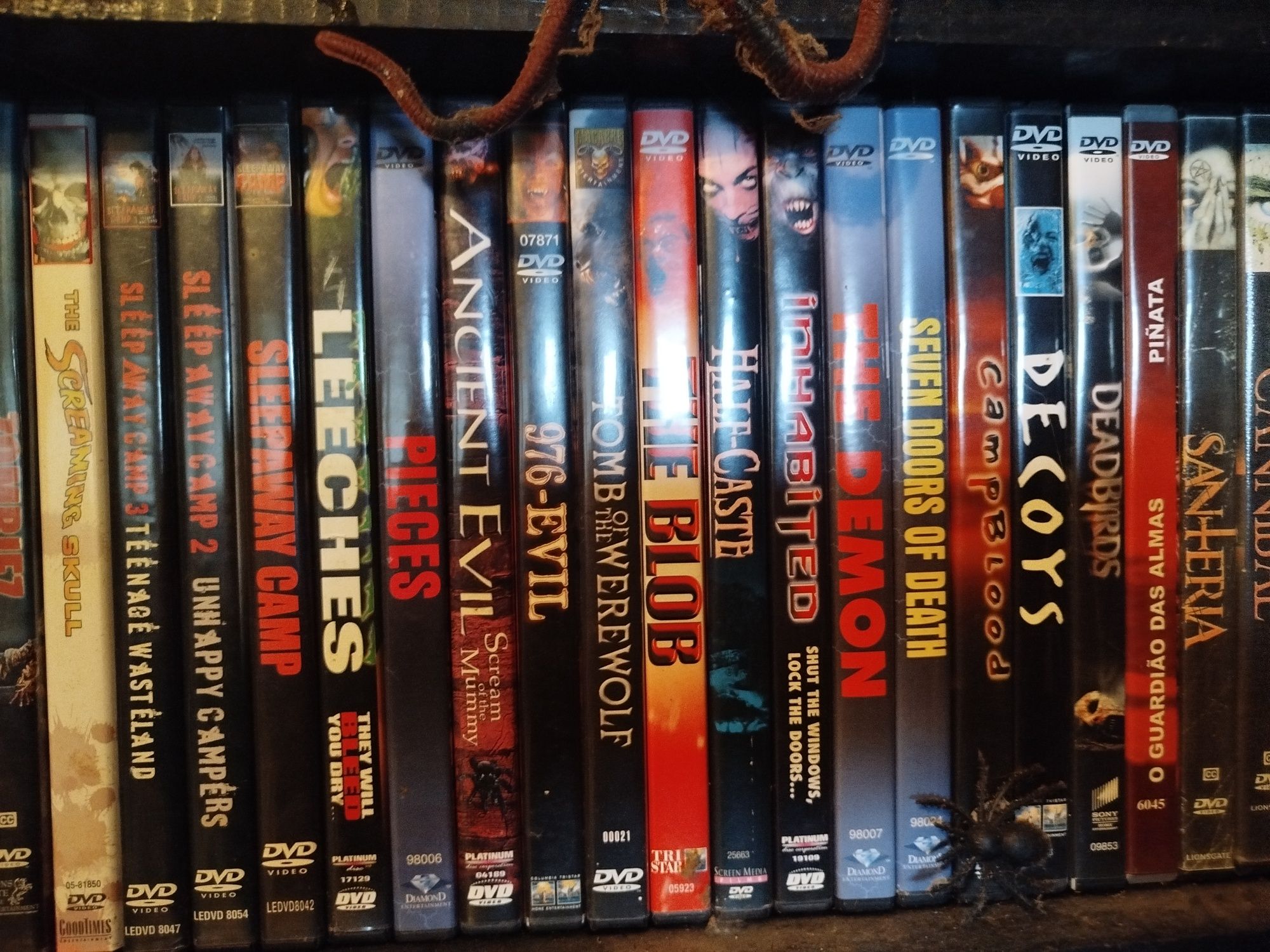 Dvd's sistema pal e nstc