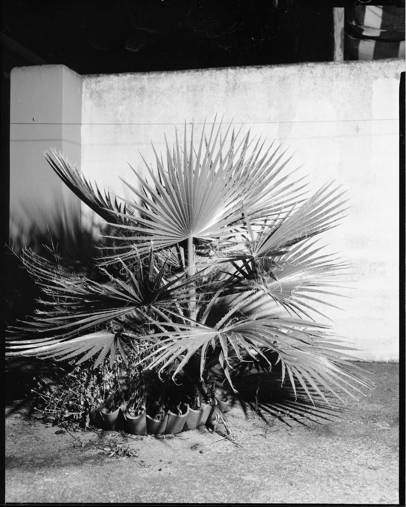 Camara 4 x 5" grande formato Graflex Speed Graphic - Optar 135mm F/4.7