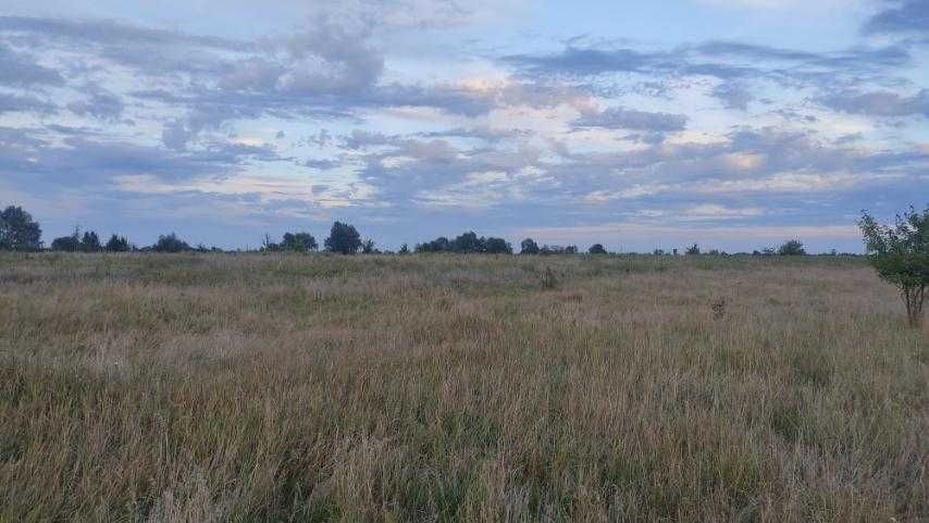 Ділянка 12 соток у с. Сувид  Вишгородського району.