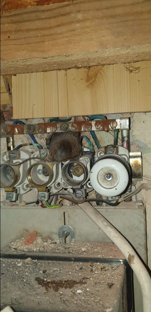 Elektryk, instalacje elektryczne od A do Z, awarie
