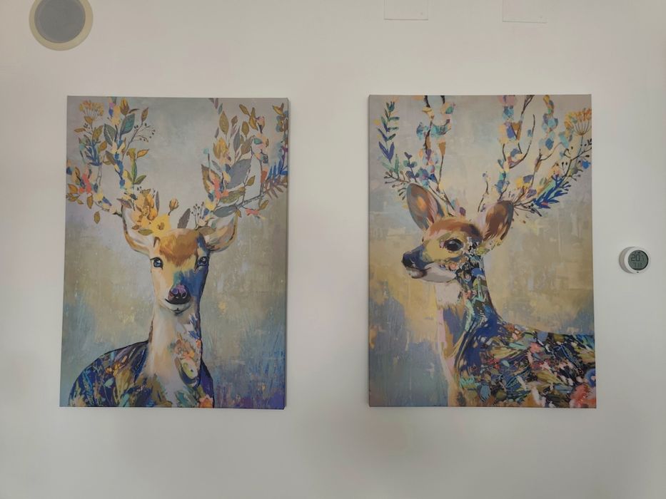 Quadros Tela Rena Colorida 50x70