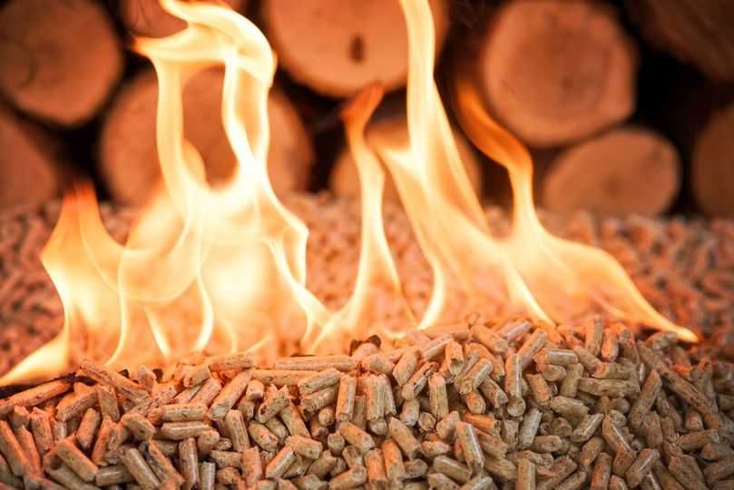 Pellet świerkowy 6 mm A1