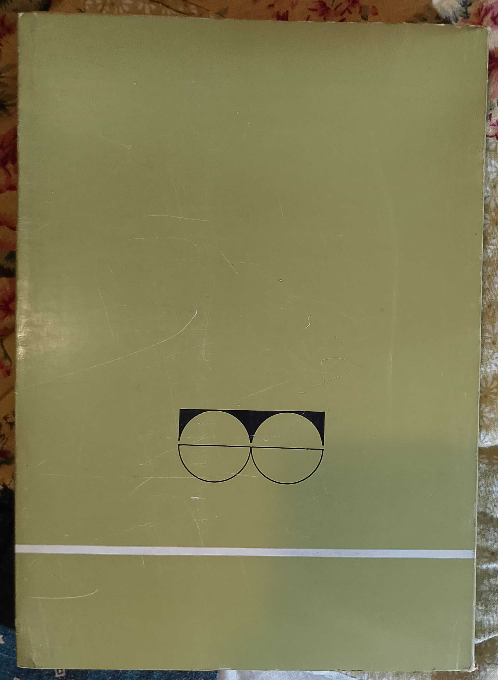 Os olhos e as vozes, Mário Braga