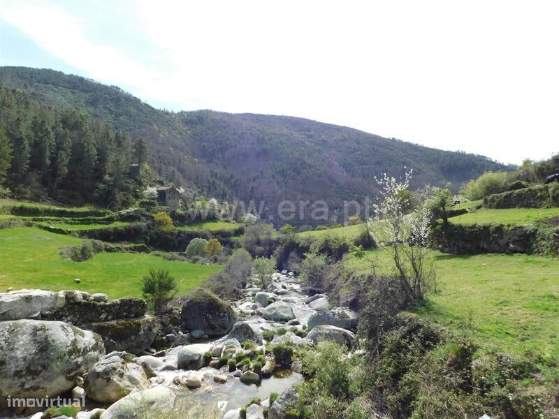 Quintinha / Seia, Loriga