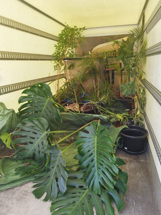 PRZEPROWADZKI TRANSPORT Utylizacja Mebli Wywóz Gruzu Sprzątanie Dzialk