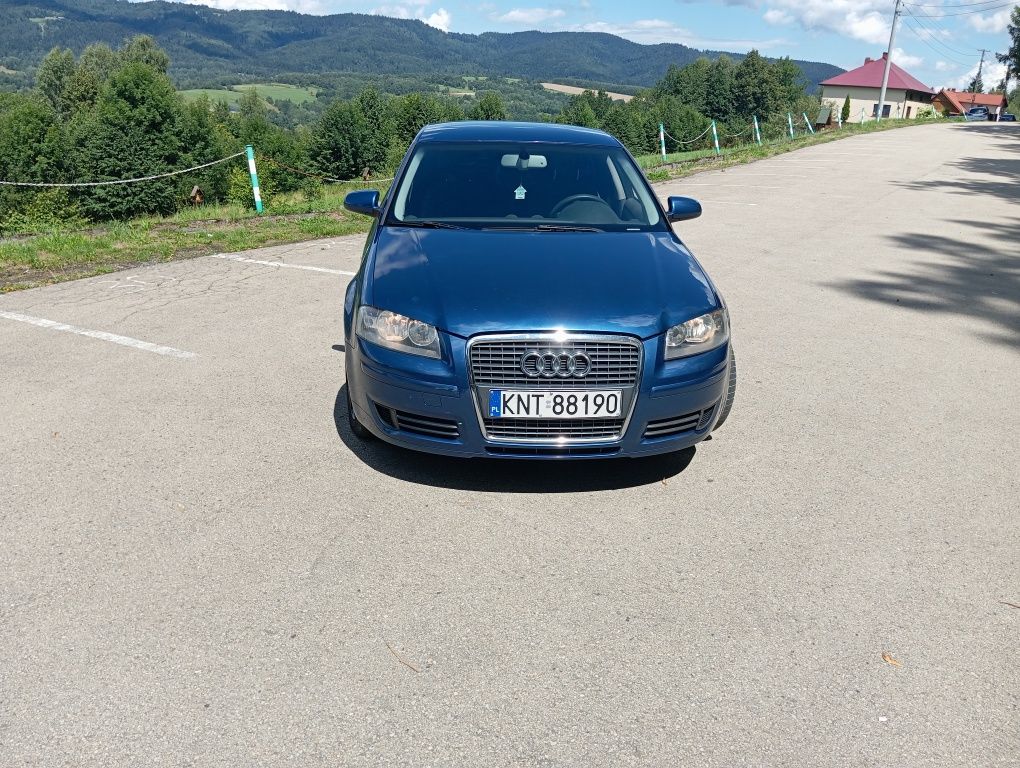 Audi A3 8p 2.0Tdi