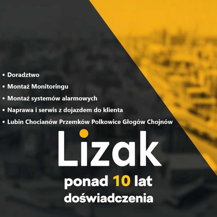 Monitoring, systemy alarmowe, sieci informatyczne. Montaż i serwis.