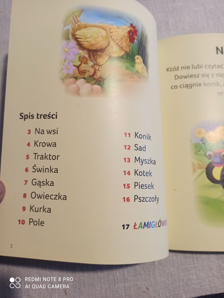 Książka dziecięca ,Na wsi"