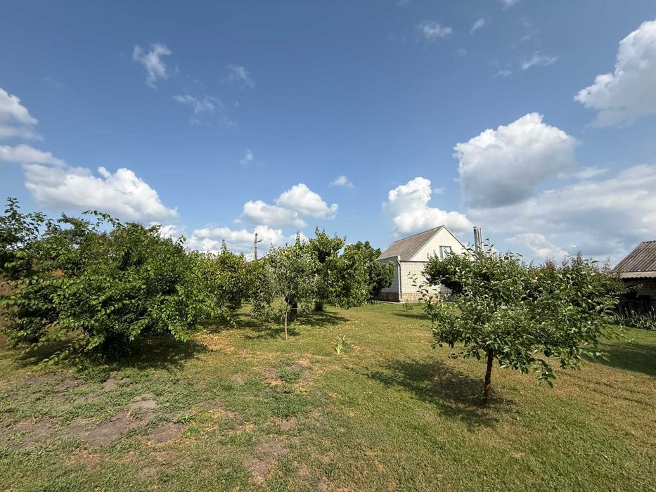 Продаж продам будинок в Царичанці Царичанка Центр Поділ ліс, річка