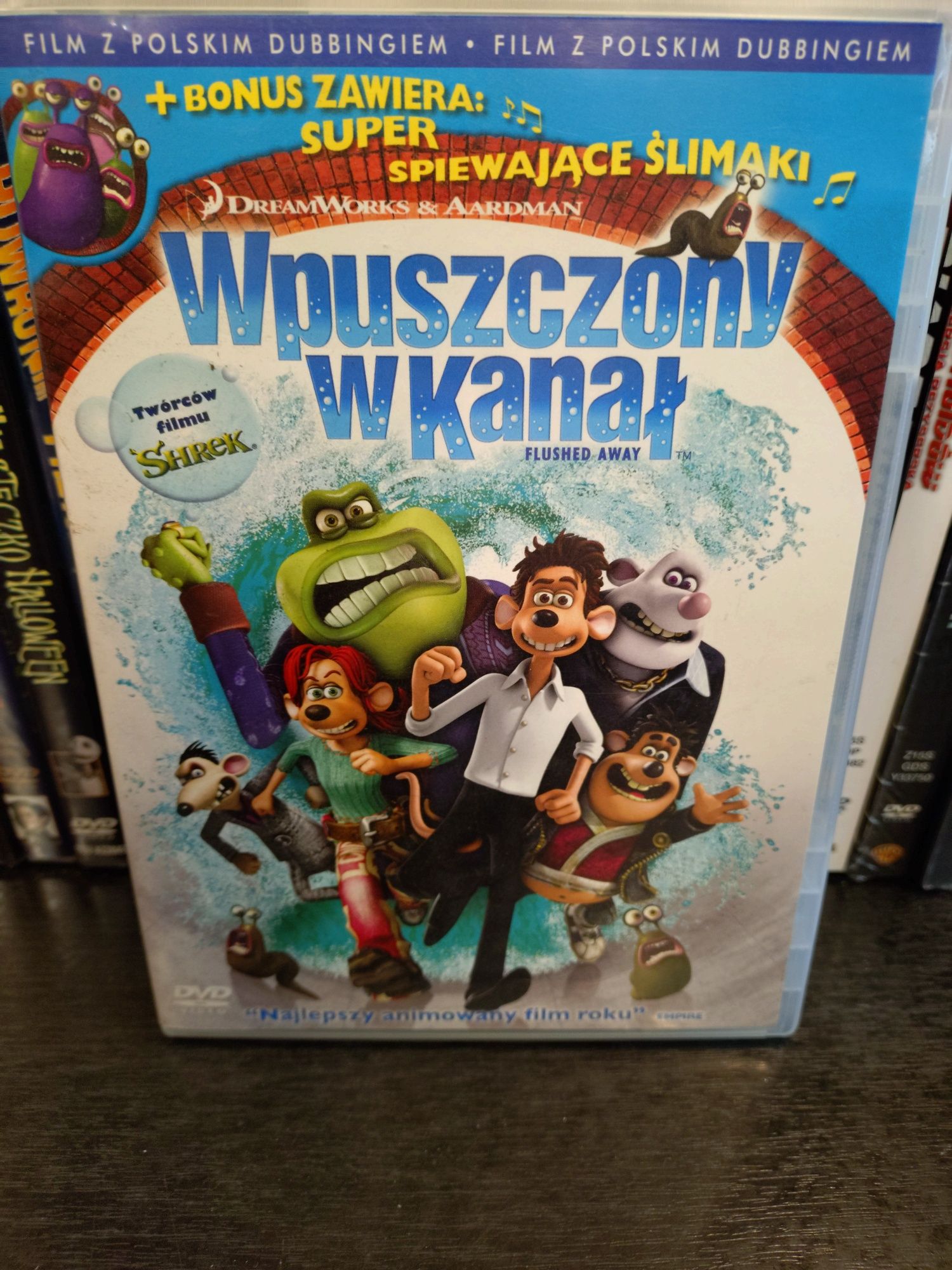 Wpuszczony w kanał DVD