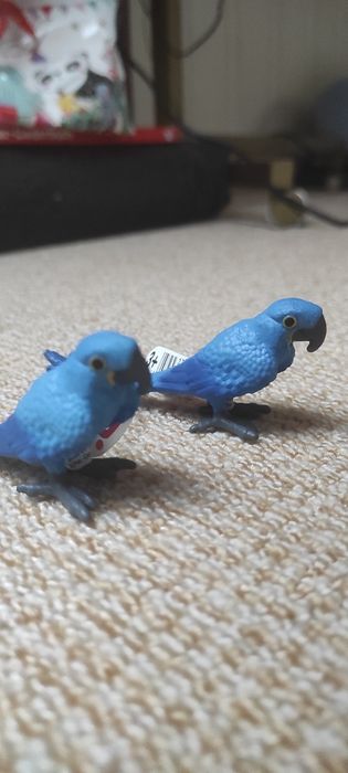 Попугаи  Schleich