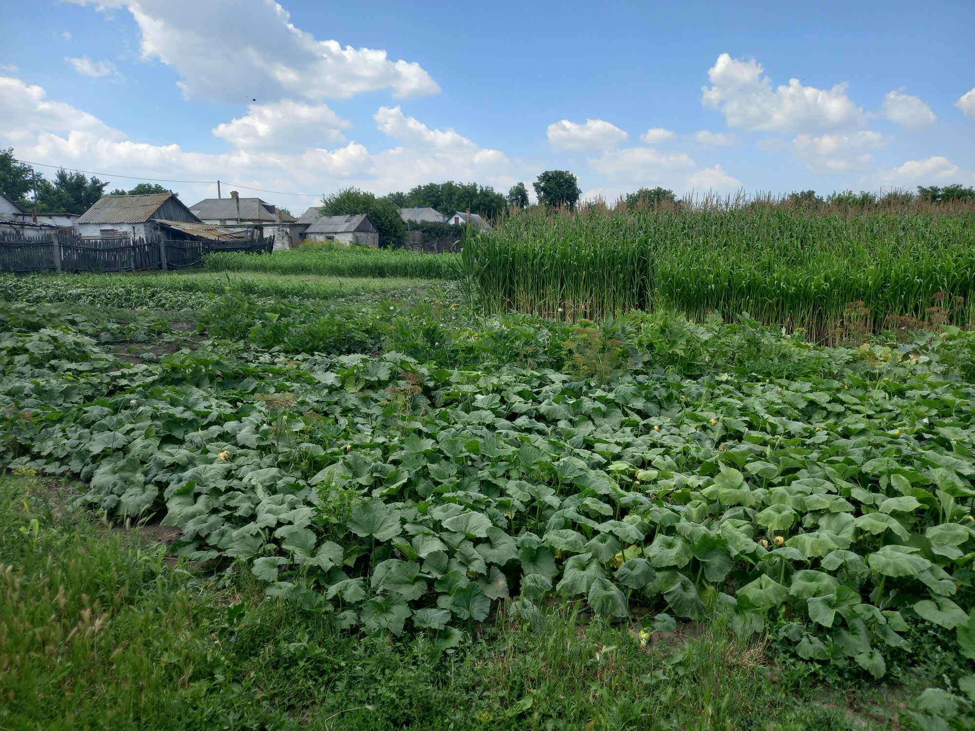 Продається будинок,в м.Новоукраїнка,Кіровоградська область