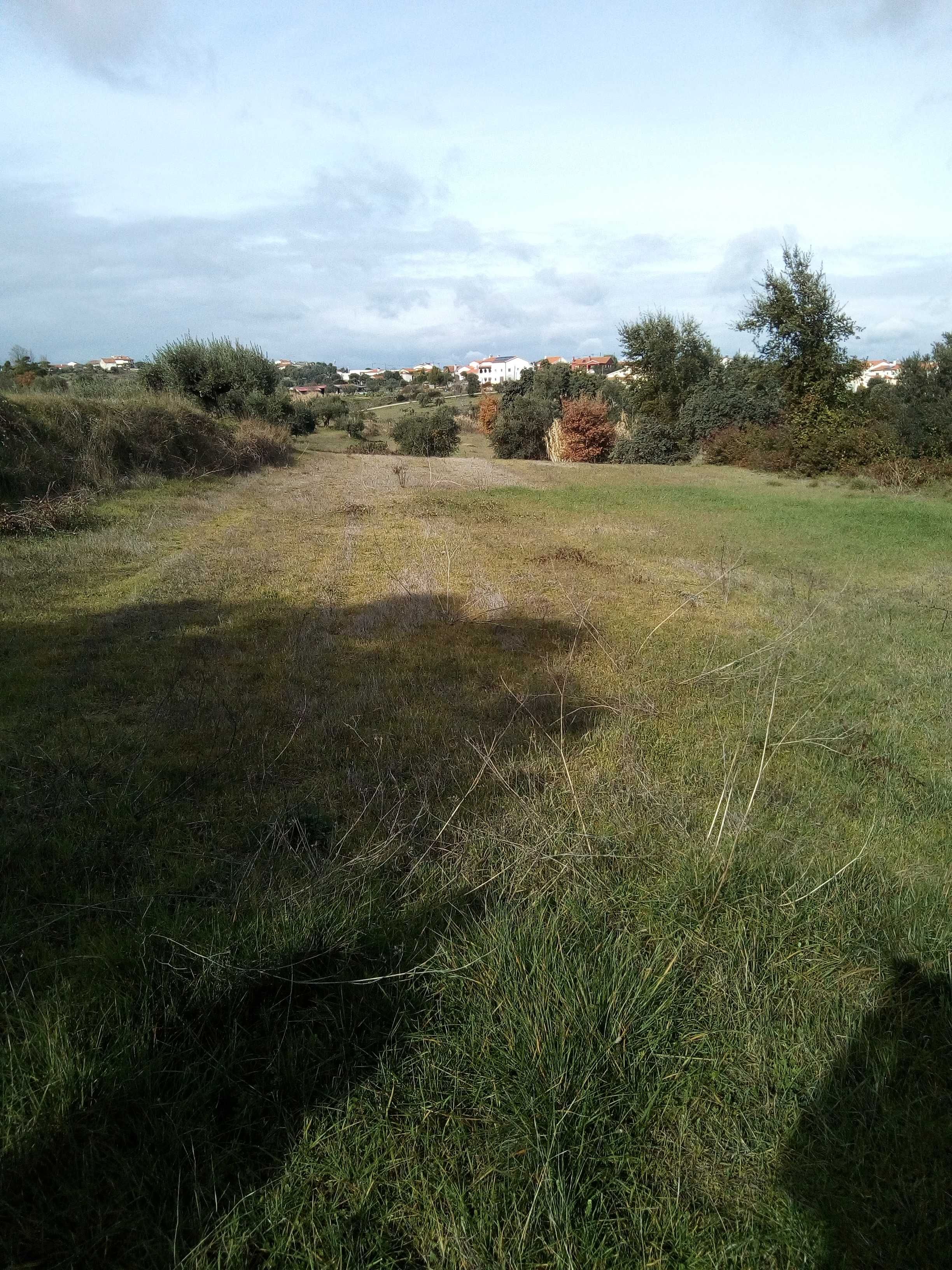 Terreno  rustico Tomar (2208 m2)