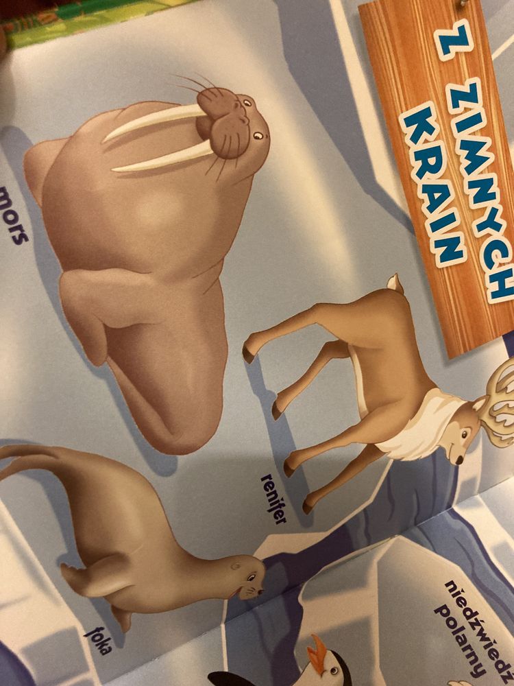 Wycieczka do zoo książka dla Dzieci