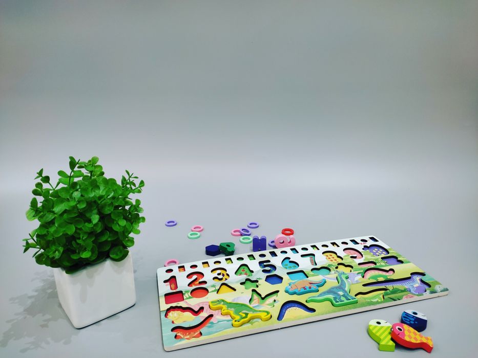 Дерев'яна гра сортер Монтессорі