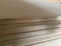 Płyta Sklejka 2500 x 1220 x 15 mm