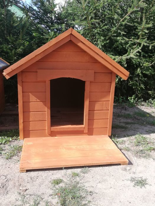 Buda dla psa owczarek huski lablador