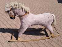 Konik na biegunach