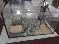 Akwarium (terrarium) dla żółwia