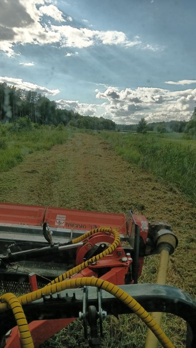 Usługi leśne ścinka drzew czyszczenie działek kupno lasu na pniu