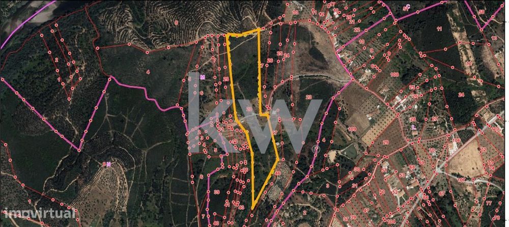 Quinta com 36.920m2 em Vale da Azenha| Martinchel - Abrantes