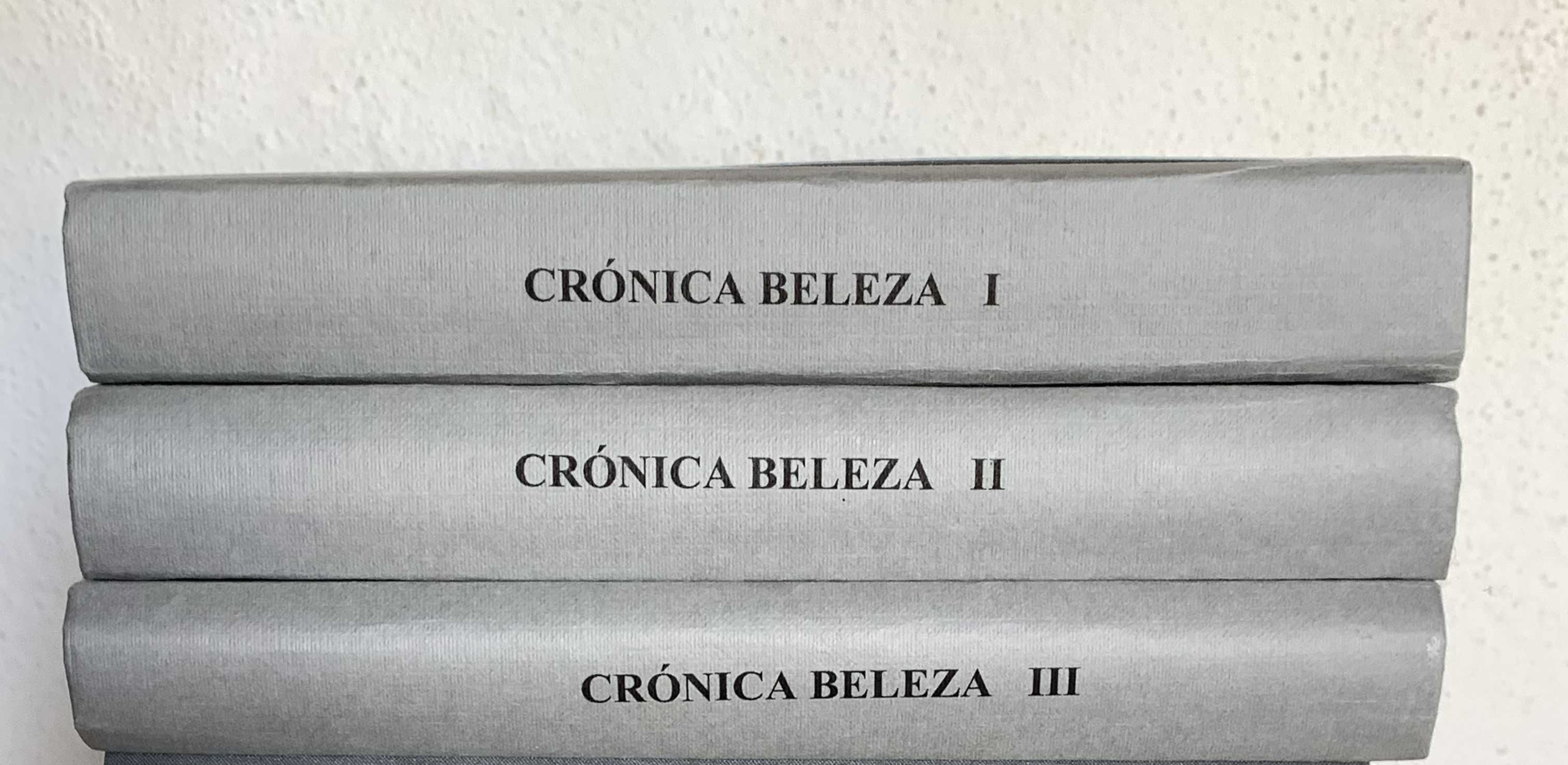 10€ por 3 encadernações com fascículos "Crônica Beleza" anos 80