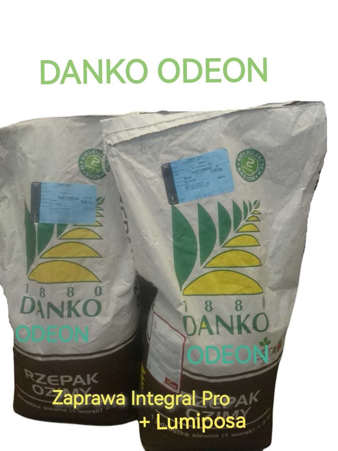 Rzepak ozimy DANKO ODEON 3ha zaprawiany materiał siewny