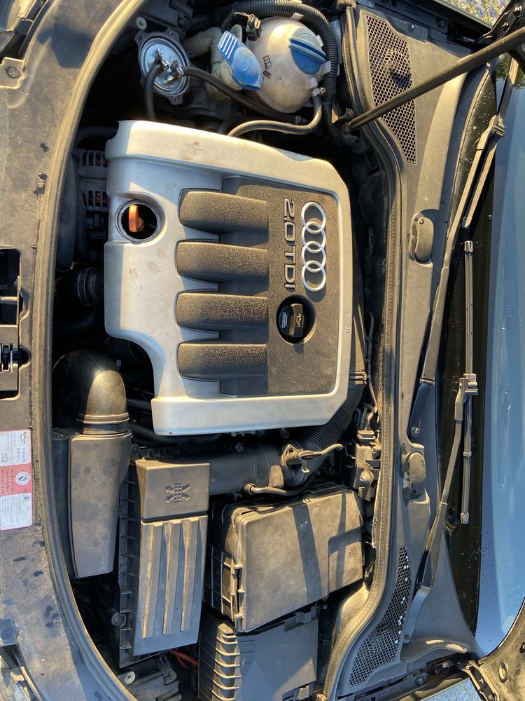 Audi A3 8P 2.0tdi BKD