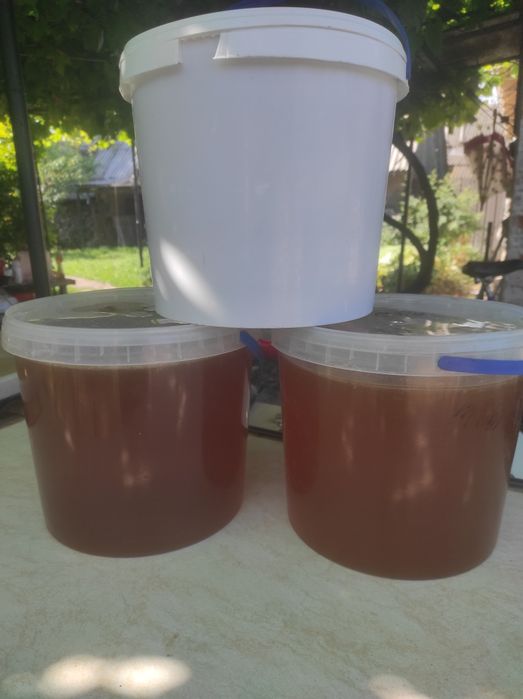 Мед різнотрав'я викачка 2025р