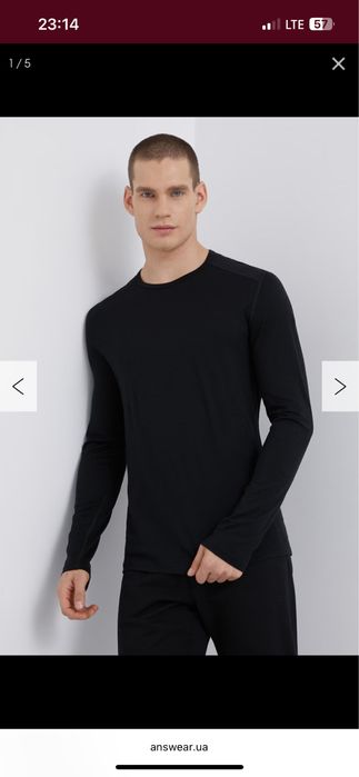 ICEBREAKER (S-L) термофутболка Bodyfit 200 Pure Merino шерстяная мужск