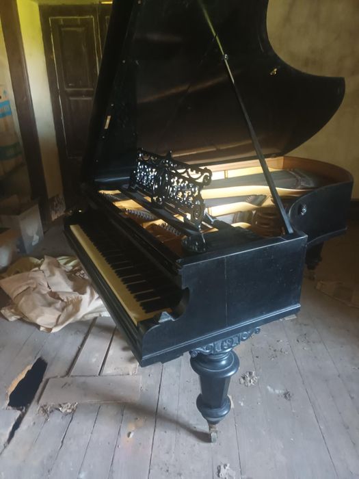 Piano de Cauda Bechstein