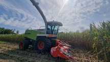 Claas Jaguar 900, BDB stan, kemper 360, 4x4 zamiana