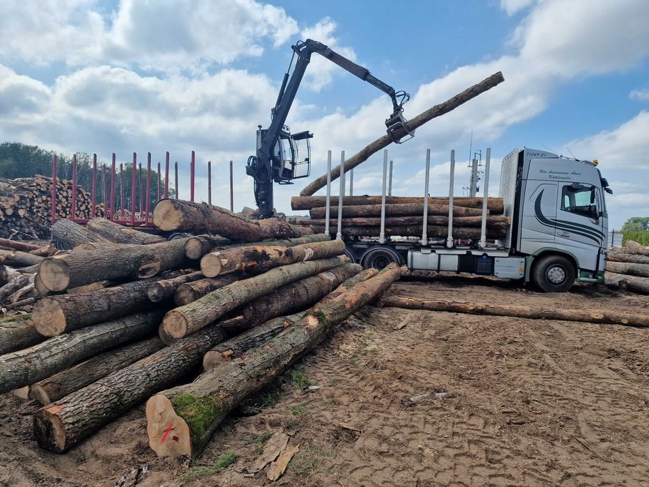 DrewKom Drewno kominkowe Jesion kłoda dl. 2,5m S4 S2a transport HDS