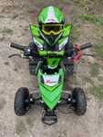 Mini moto tox raptor