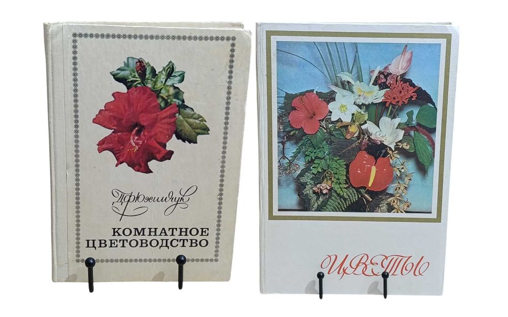 Цветы Комнатные растения цветоводство