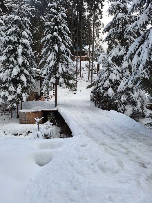 Будинок Ніч в Карпатах