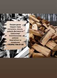 Продам дрова ( рубані, метровка, піньки)