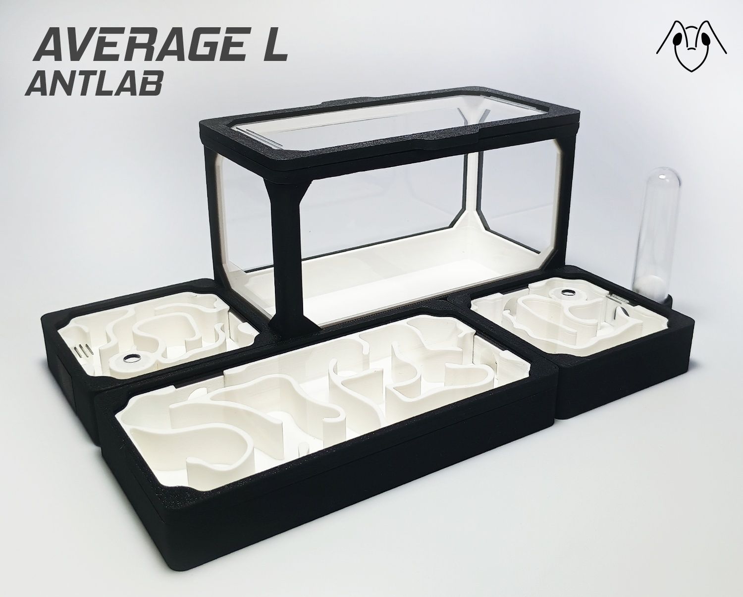 Formikarium AVERAGE L - Modułowe Terrarium Dla Mrówek 210x140