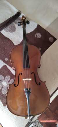 Violoncelo stentor