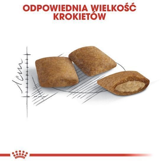 Karma dla kotów dojrzałych, powyżej 12 roku życia - Royal Canin 2kg