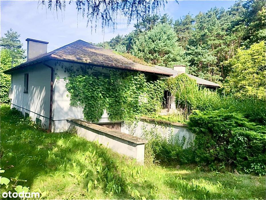 Twój zielony azyl nad wodą w Sulejowie!