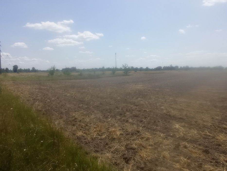 Продам участок под строительство с. Сеньковка