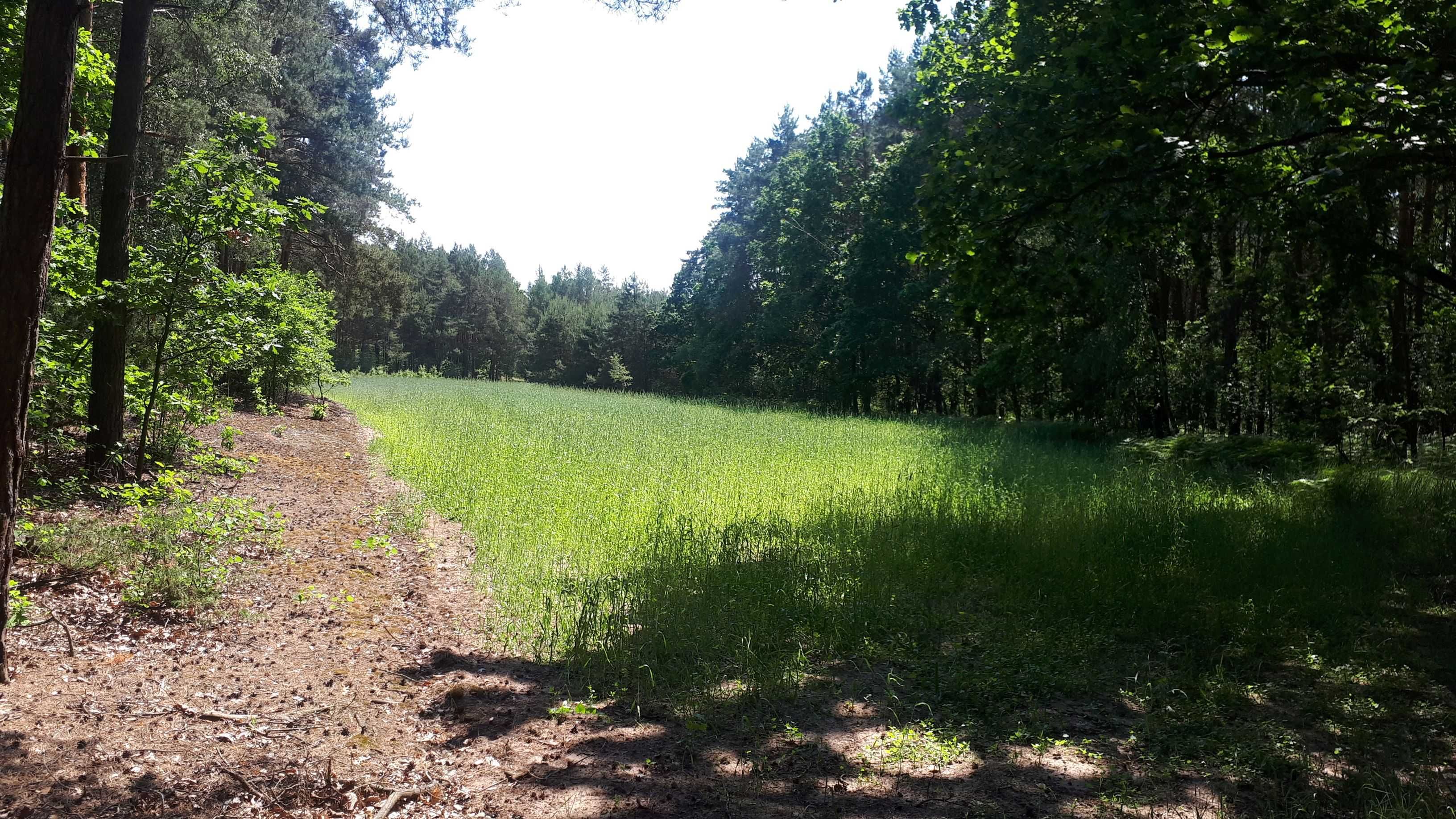 Działka rolna 9,66 ha