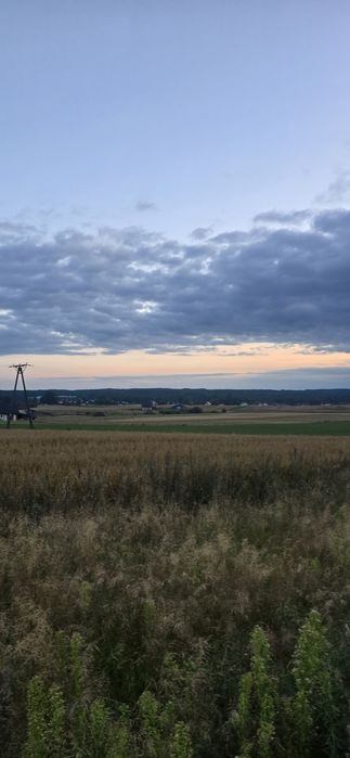 Sprzedam działki, działka, Borzytuchom koło Bytów