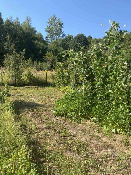 Продаж дачний будинок і прилегла земля