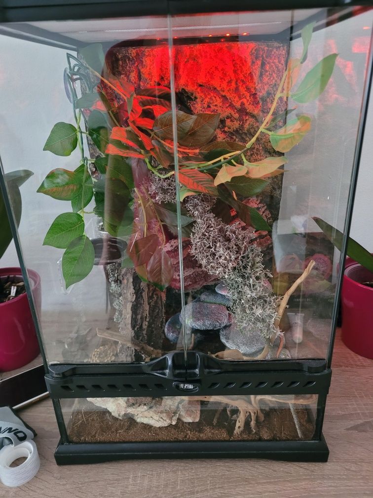 Exo Terra Terrarium 30 x 30 x 45 cm
